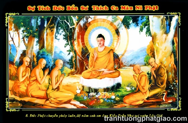 Lịch Sử Phật Thích Ca Mâu Ni Phật (441)